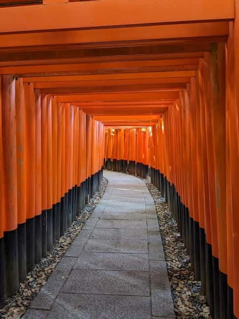 Kyoto: 1.5-Hour Guided Tour of Fushimi Inari Shrine - The torii gate walk: photography is easy, understanding takes one extra step