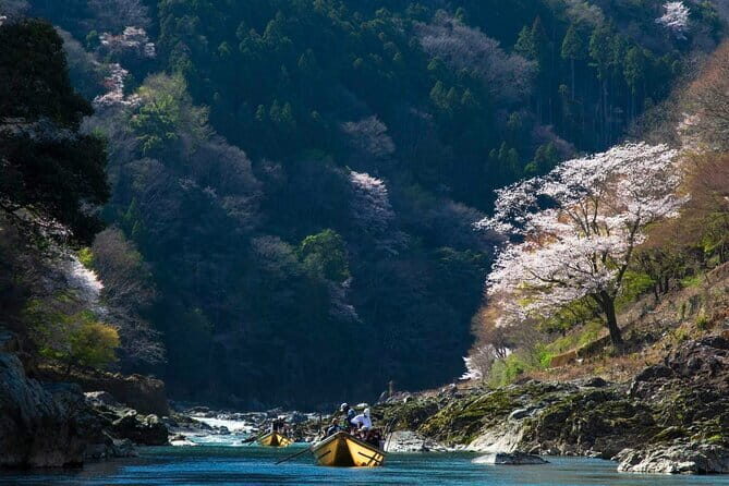 Kyoto 1 Day Suntory Yamazaki Distillery Tour and Asahi Art Museum - The day’s pace: how the timing feels in real life