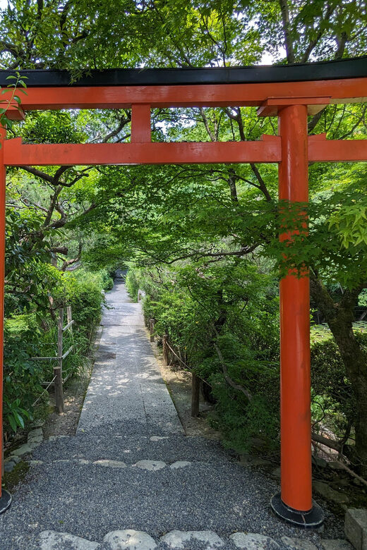Kyoto: 100% Private Custom Walking Tour (4/8 Hrs) - Why this Kyoto tour feels different than a fixed walking loop