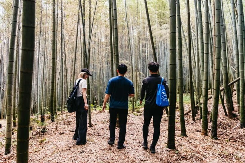 Kyoto: 3-Hour Fushimi Inari Shrine Hidden Hiking Tour - How Much Walking Is Really Involved