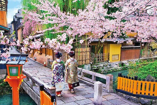 Kyoto 5-Star Geisha Night Walk: Small-Group Authentic Experience - A 5:20 pm start that makes Gion feel human