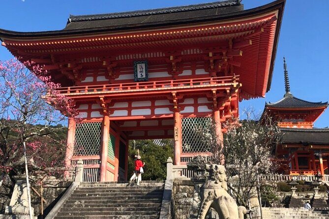 Kyoto 6h Private Tour Fushimi Inari, Kiyomizu, Gion & Hidden Gems - Fushimi Inari-taisha: the torii walk you’ll remember