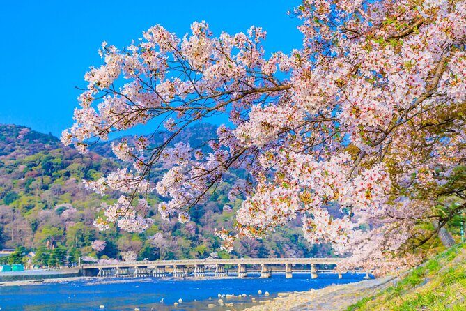 Kyoto 6hr Instagram Highlights Private Tour with Licensed Guide - Guide energy and flexibility: what you can expect from real people