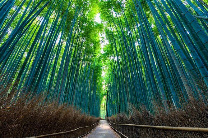 Kyoto 6hr Instagram Highlights Private Tour with Licensed Guide - Togetsukyo Bridge and Arashiyama Bamboo Forest: your photo starts here