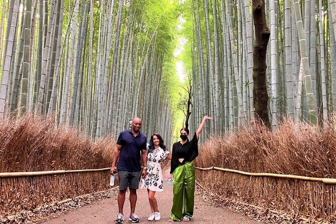 Kyoto 8hr Private Tour with Government-Licensed Guide - North Kyoto add-ons: Shugakuin, Kibune, Kurama, and mossy hillside temples