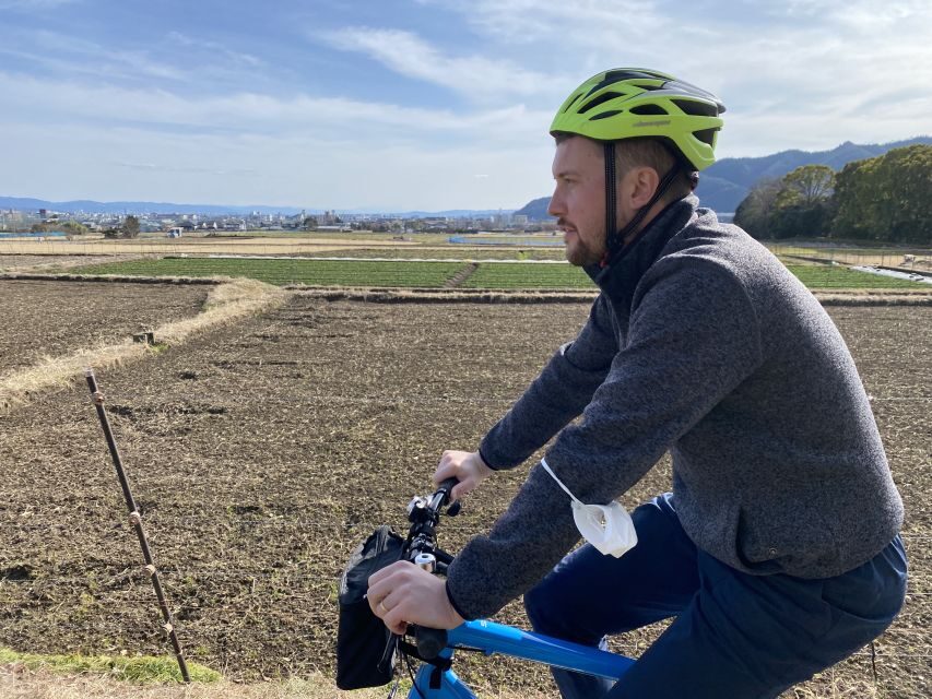 Kyoto: Afternoon Bamboo Forest and Monkey Park Bike Tour - Iwatayama Monkey Park: the unforgettable hike and the monkey factor