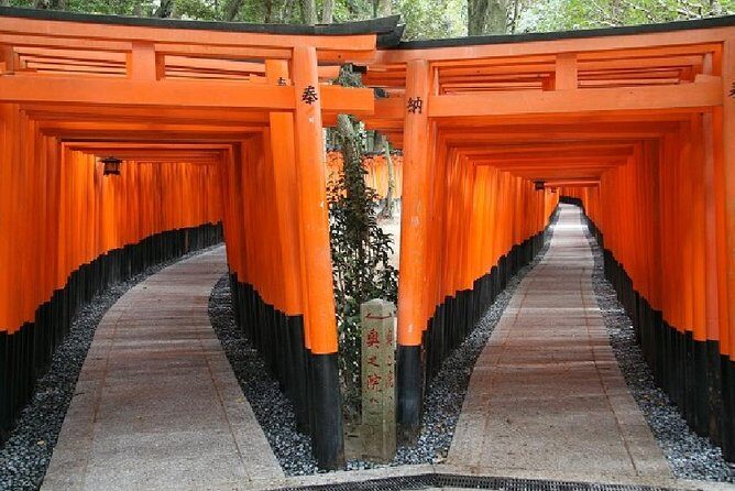 Kyoto Afternoon Tour from Kyoto or Osaka - How the short timing affects what you’ll remember