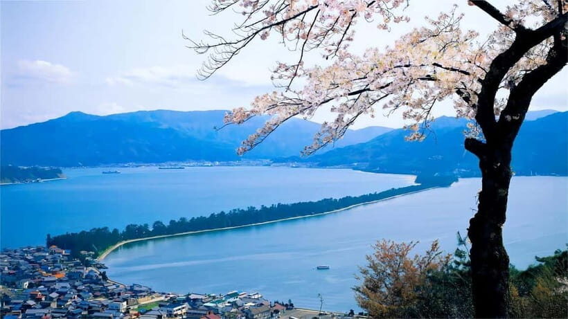 Kyoto: Amanohashidate Ine Funaya Tour - Key points to know before you go