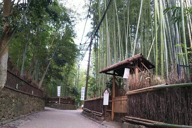 Kyoto and Nara 2-Day Tour: Golden Pavilion, Todaiji, Deer Park - Two-Day Rhythm: How Kyoto and Nara Actually Fit Together