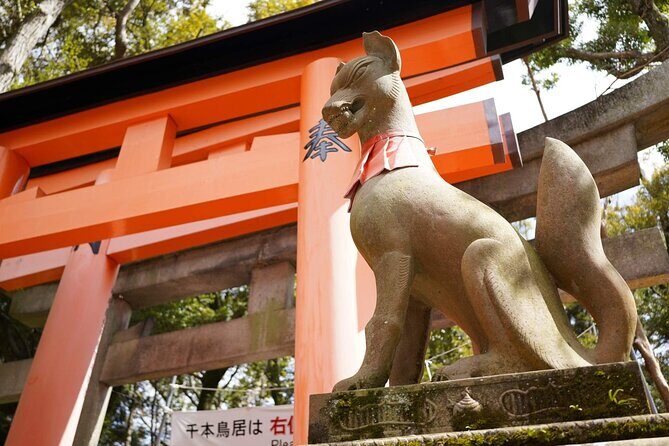 Kyoto and Nara Day Tour from Kyoto - The guide experience: organized help, with one clear warning