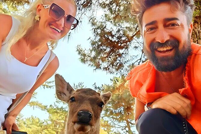 Kyoto and Nara Day Tour From Osaka with Deer Sightings - Quick Takes: What’s Especially Good Here