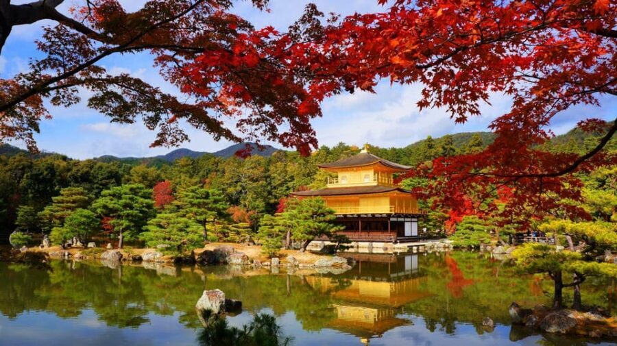 Kyoto and Nara Day Tour From Osaka with Deer Sightings - Practical Tips So You Don’t Get Rattled by the Clock