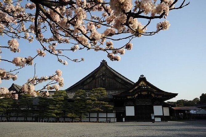 Kyoto and Nara Day Trip from Kyoto - Price and value: what you’re really paying for