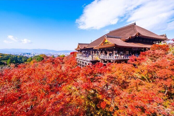 Kyoto and Nara Private Car Tour with a Local English Guide Driver - The private car advantage: choose your ride and keep moving