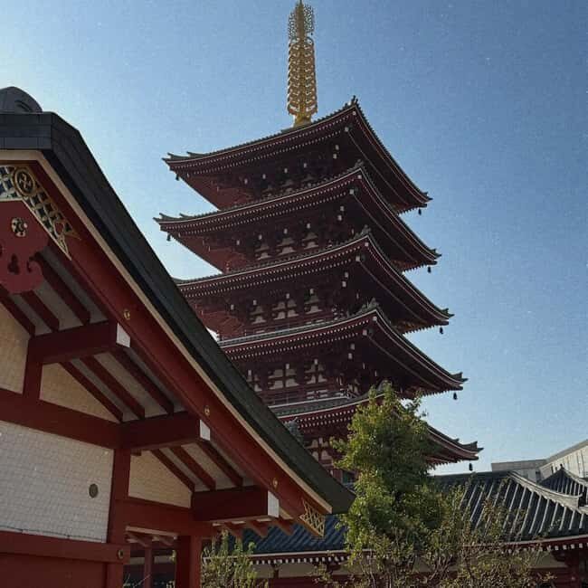 Kyoto and Nara: Private Customized Tour with Guide & vehicle - Key points before you book