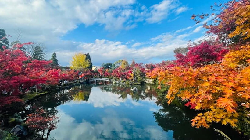 Kyoto and Nara: Private Customized Tour with Guide & vehicle - Golden Pavilion, Bamboo Grove, and calm Zen stops