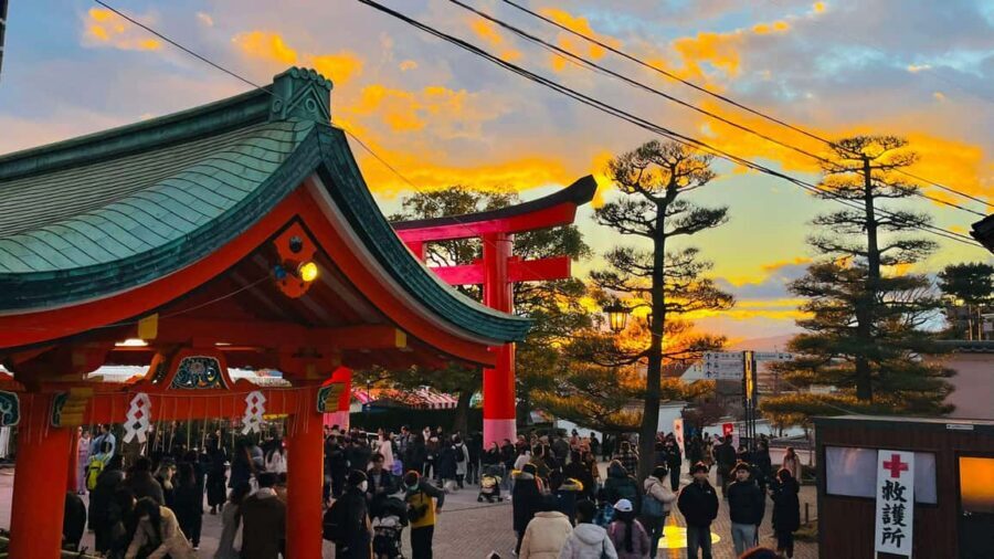 Kyoto and Nara: Private Customized Tour with Guide & vehicle - Kasuga Taisha and other stops worth confirming