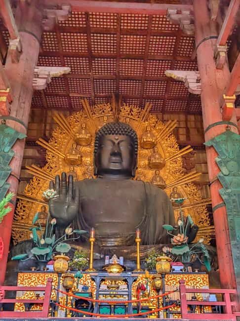Kyoto and Nara: Private Customized Tour with Guide & vehicle - First, plan the route: Kyoto order vs Nara order
