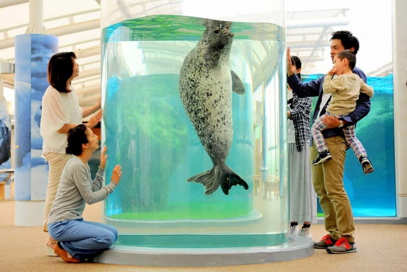 Kyoto Aquarium Admission Ticket - Key things to notice before you go