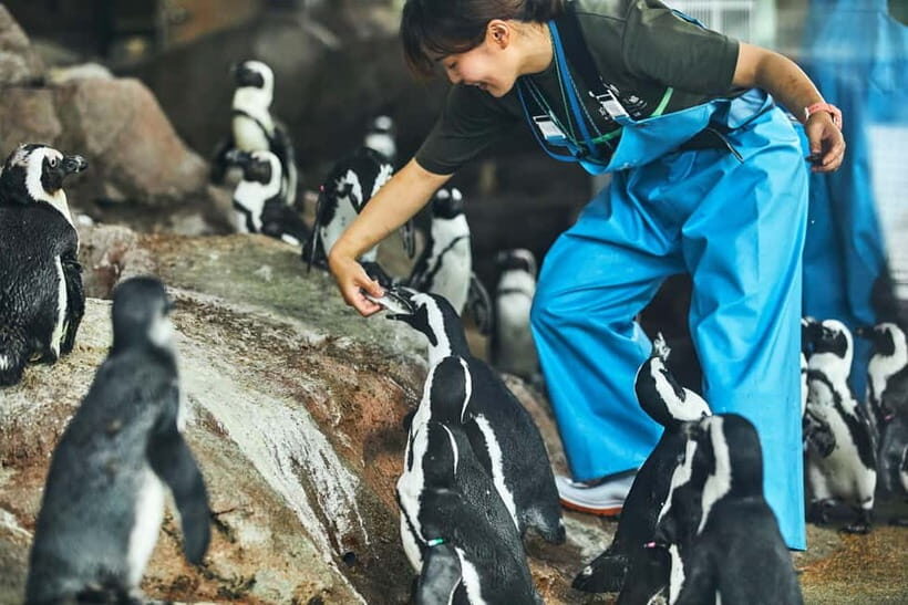 Kyoto Aquarium Admission Ticket - Umekoji Park: the quiet setting that changes the mood