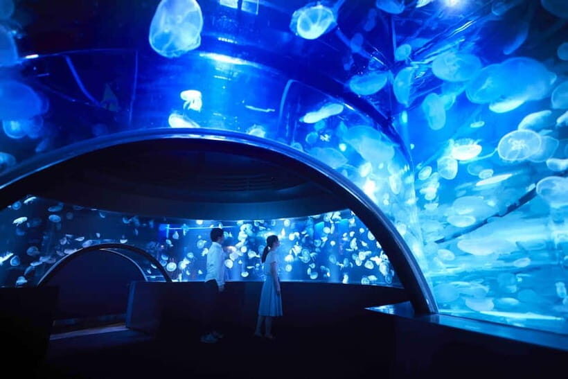 Kyoto Aquarium Admission Ticket - Price and value: what $16 buys you for a full day