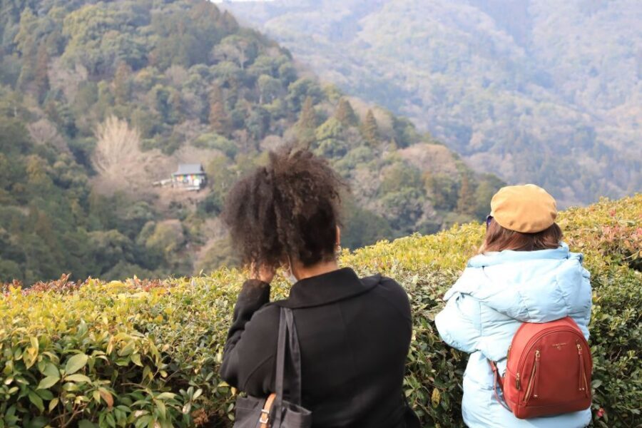 Kyoto Arashiyama Bamboo Forest Customized Private Tour - Okochi Sanso Garden and the Art of Slowing Down