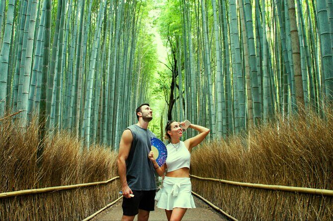 Kyoto: Arashiyama Bamboo Forest, Monkeys, Matcha & Temple Tour - Stop 1: Arashiyama Bamboo Forest walk (30 minutes)