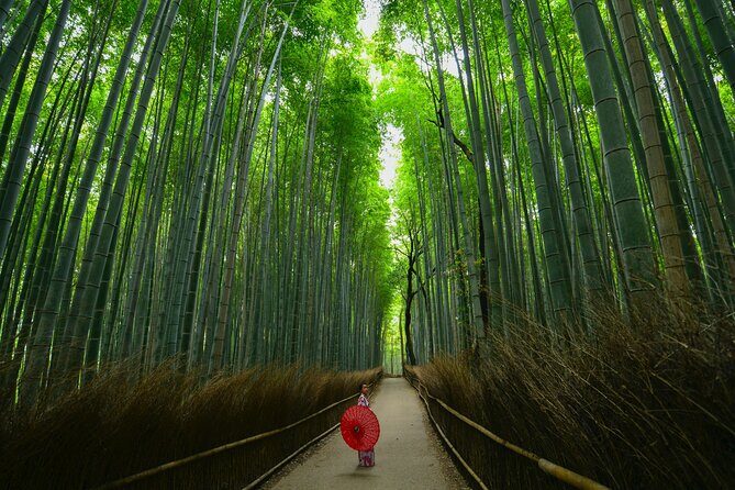 Kyoto: Arashiyama Bamboo, Temple, Matcha, Monkeys & secret spots - Tenryu-ji temple: pond views, indoor-outdoor time, and small moments