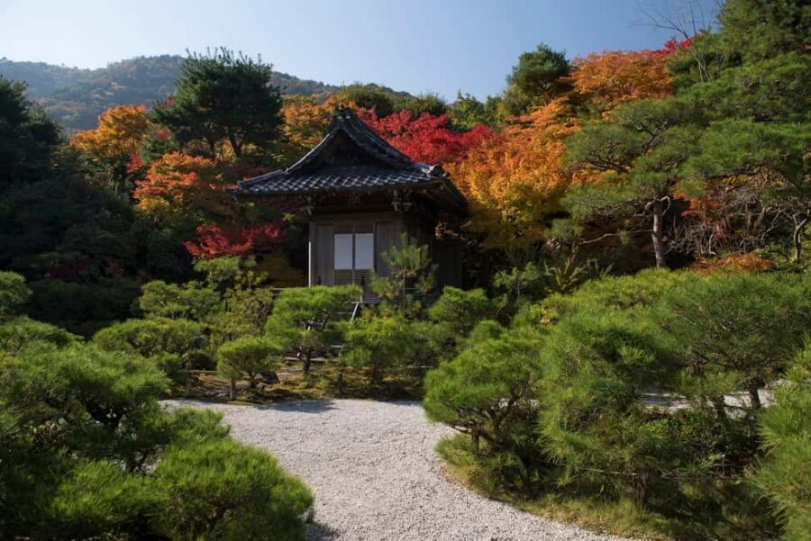 Kyoto: Arashiyama Bamboo, Togetsukyo bridge, Sanso, and more - Key highlights that make this tour worth it