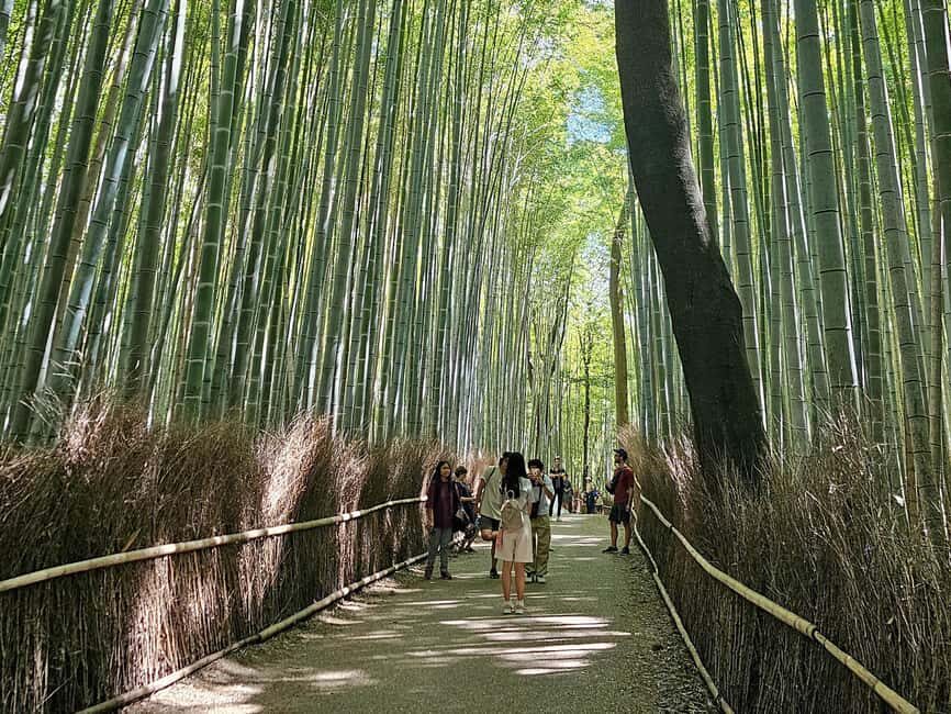 Kyoto: Arashiyama Bamboo, Togetsukyo bridge, Sanso, and more - Tips to make the walk comfortable (and respectful)