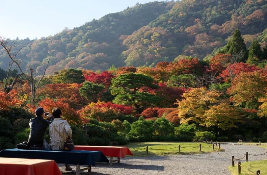 Kyoto: Arashiyama Bamboo, Togetsukyo bridge, Sanso, and more - Sagano Bamboo Forest: the icon, the flow, and the photo moments