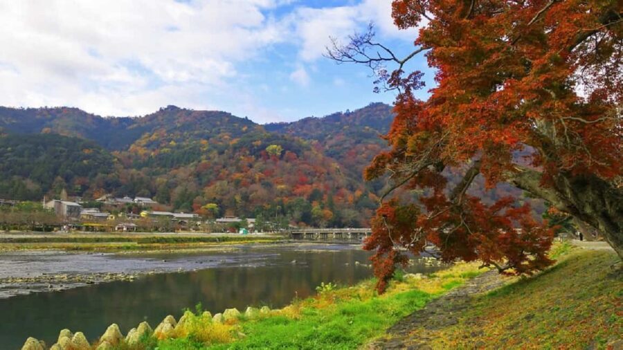 Kyoto: Arashiyama Bamboo, Togetsukyo bridge, Sanso, and more - Kimono Forest lights: modern art lighting up Arashiyama’s scenery