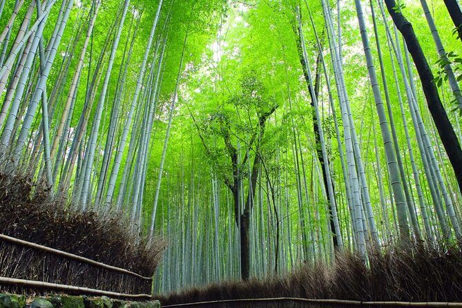 Kyoto: Arashiyama Early Access Bamboo & Temple Tour - Togetsukyo Bridge: the Oi River views that set the tone