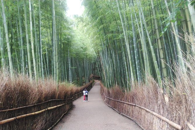 Kyoto Arashiyama & Golden Pavilion One-Day Walking Tour - Price and logistics: what you pay for, what you pay extra