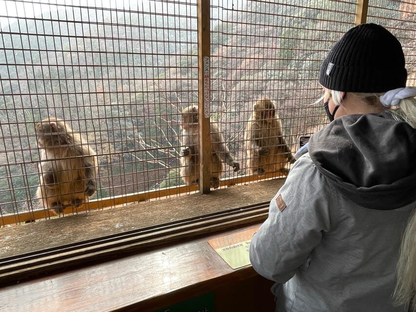 Kyoto: Arashiyama Guided Tour, Bamboo, Monkey, Zen Temple - Where the Tour Starts at JR Saga-Arashiyama Station