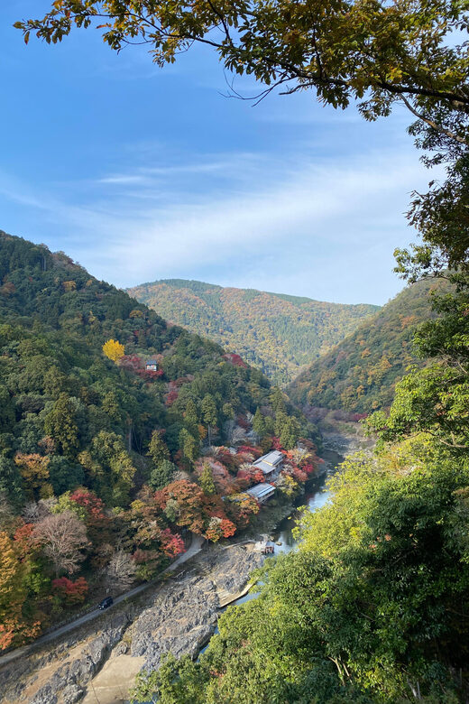 Kyoto: Arashiyama Guided Tour, Bamboo, Monkey, Zen Temple - Togetsukyo Bridge Photo Stop Over the Katsura River