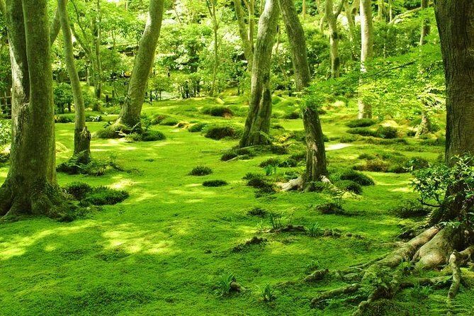 Kyoto Arashiyama & Sagano Bamboo Private Tour with Government-Licensed Guide - Tenryuji and Okochi Sanso: UNESCO gardens and a star’s retreat