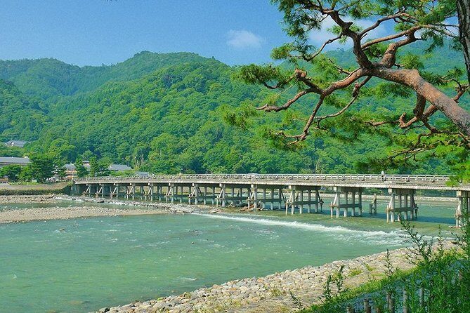 Kyoto Arashiyama & Sagano Bamboo Private Tour with Government-Licensed Guide - Daikaku-ji and the imperial story: calm, pond, and historic events