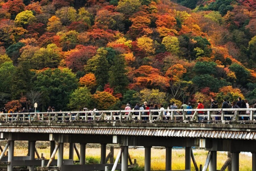 Kyoto: Arashiyama Tour with optional Sagano Romantic Train - Mikami Shrine and the God of Hair stop you might not expect