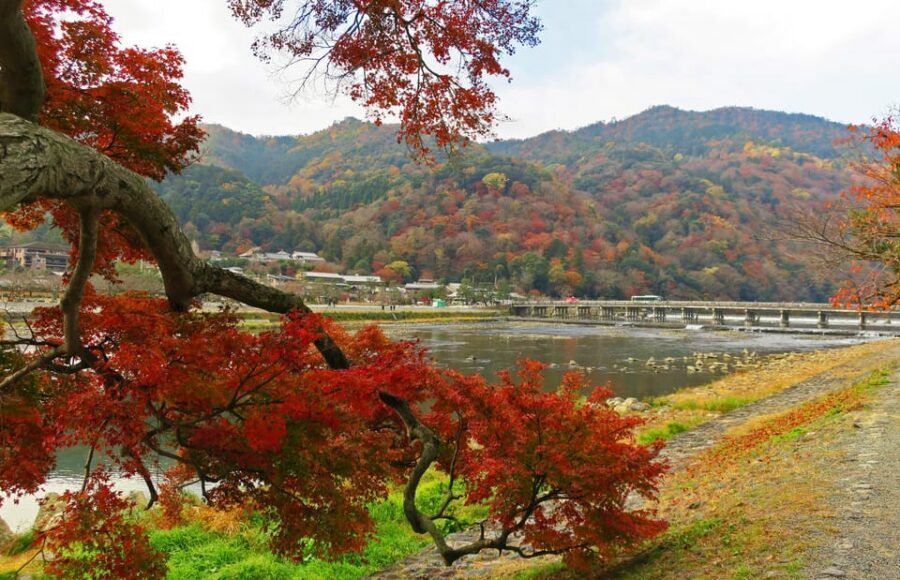 Kyoto: Arashiyama Tour with optional Sagano Romantic Train - Tenryu-ji Zen gardens: why this stop deserves its paid entrance