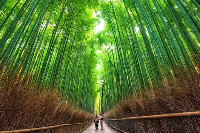 Kyoto: Arashiyama Walking Tour – UNESCO World Heritage - Key things to know before you go