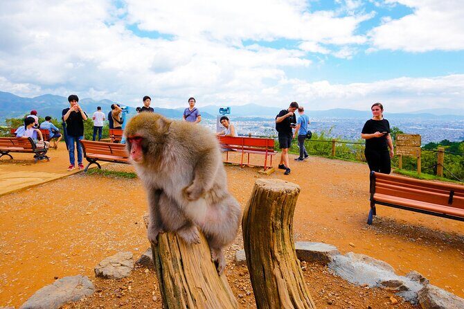 Kyoto: Arashiyama Walking Tour – UNESCO World Heritage - The Bamboo Grove walk: photos are the prize, but the guide is the point