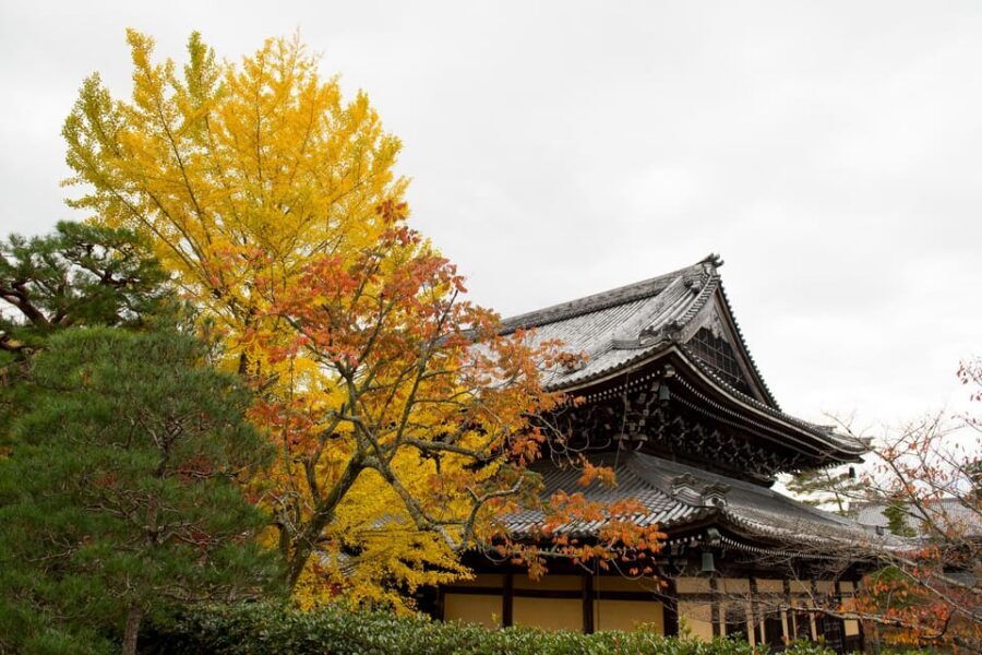 Kyoto: Authentic Biking Half Day Experience - Kyoto on two wheels: why the Mamachari style works so well