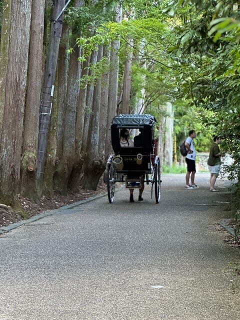 Kyoto: Avoid the Crowds at the Hidden Gems of Arashiyama - Why Arashiyama feels calmer when you start at Saga Arashiyama Station