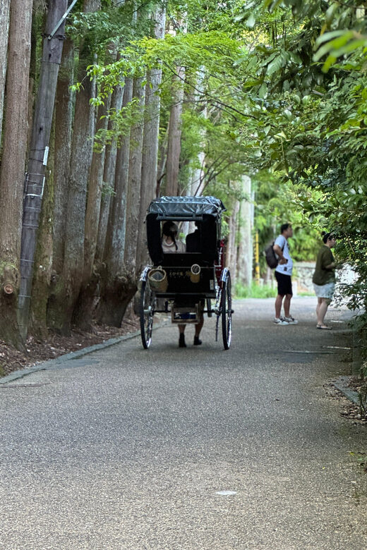 Kyoto: Avoid the Crowds at the Hidden Gems of Arashiyama - Togetsu Bridge and the Arashiyama Park observatory stop