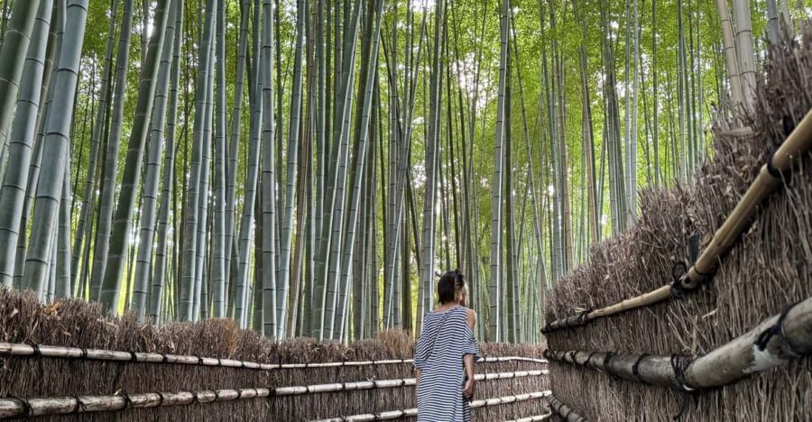 Kyoto: Avoid the Crowds at the Hidden Gems of Arashiyama - Otagi Nenbutsu-ji: the 1,200+ stone statues that make you smile