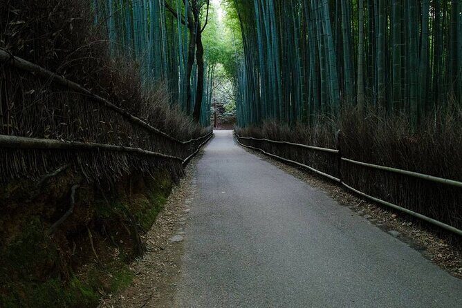 Kyoto Bamboo Forest & Golden Pavilion E-Bike Tour - Tenryu-ji Temple: the Zen garden UNESCO walk that rewards patience