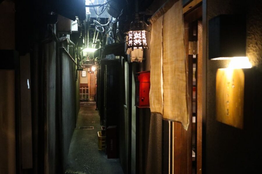 Kyoto : Bar Hopping Tour in Pontocho Alley at Night - Price and value: is $120 fair for a Kyoto night out?