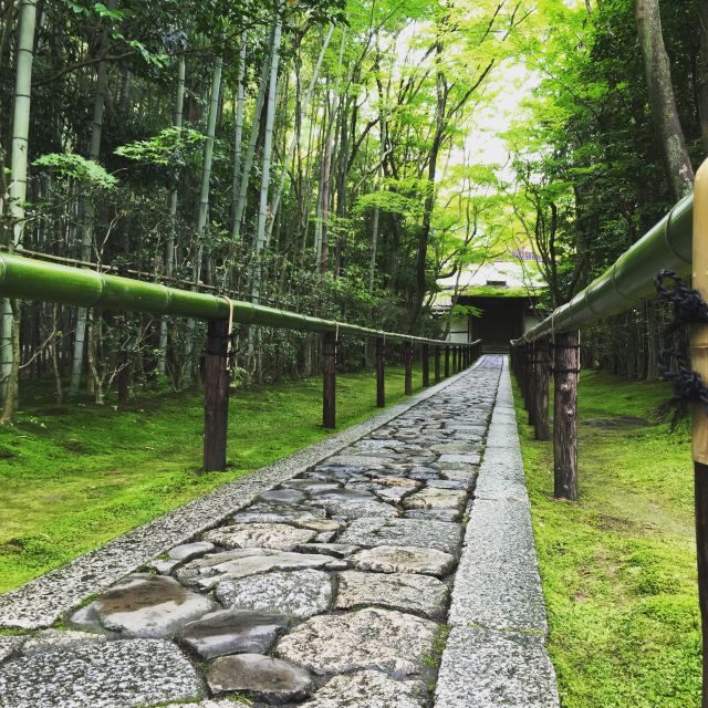 Kyoto: City Secrets eBike Tour - Daitoku-ji Tea Ceremony: Zen Explained at Human Speed