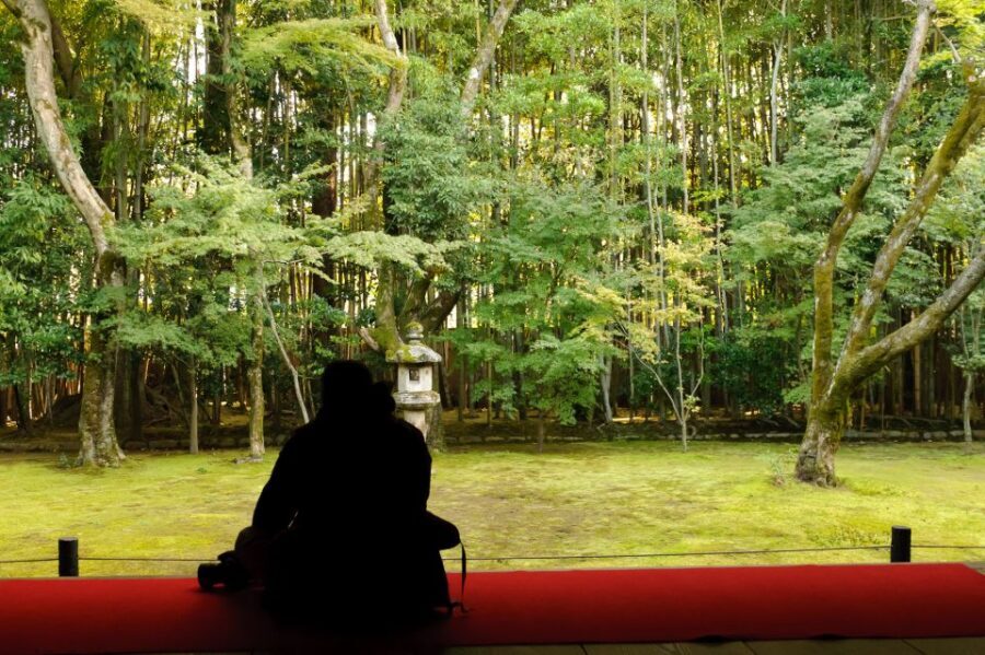 Kyoto: City Secrets eBike Tour - The Ride Itself: Safety, Street Rules, and What You’ll Feel on the Bike